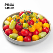 多彩蕃茄禮盒1.6kg