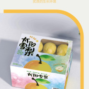 太陽雪梨禮盒 3kg