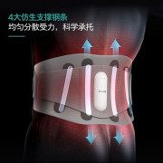 Philips 按摩腰帶