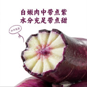 紫美人水果蘿蔔 1.2kg