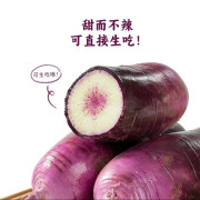 紫美人水果蘿蔔 1.2kg