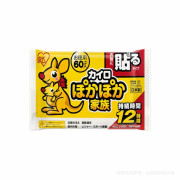 日本愛麗絲可貼式發熱貼120片  C