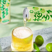 梅子多多氣泡水(汽水)330ml*20