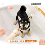 寵物零食犬用雞胸肉手卷牛皮棒100*4